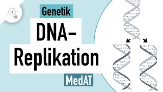 DNA Replikation einfach erklärt  Genetik  MedAT  Biologie [upl. by Eibrik]