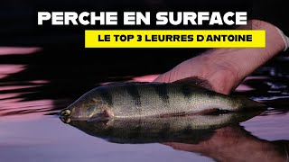 3 leurres pour pêcher la perche en surface  la sélection dAntoine [upl. by Frydman]