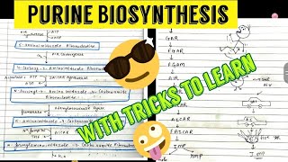 Purine Biosynthesis de novo and salvage pathway 🤩🤩 [upl. by Irtak606]