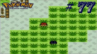 Lets Retro Pokémon  Silberne Edition  77 DE 1080p60 Der Nationalpark 2 [upl. by Behka655]