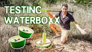 🌱HOW to PLANT with Groasis WATERBOXX🌲 Step by step and how to lose your dog in the meantime🐶🤦🏽‍♂️ [upl. by Noiroc]