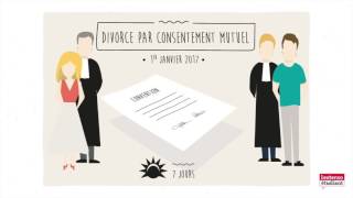 Cas pratique illustré Le droit animé  Le divorce ép 2 [upl. by Eliathan]