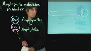 Topic 27  Amphiphilic molecules [upl. by Izmar]