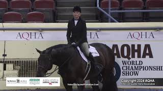 Select Hunter Under Saddle  2024 AQHA World Championship Show [upl. by Elledoj44]