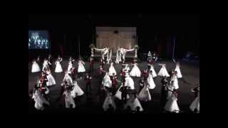 Waltz of the Debutantes and Marshalls  49th Annual Delta Sigma Theta Debutante Cotillion [upl. by Girardi]