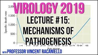 Virology Lectures 2019 15 Mechanisms of pathogenesis [upl. by Eiramalegna]