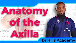 Anatomy of the Axilla and Axillary Dissection Simplified with Mnemonics [upl. by Inotna]