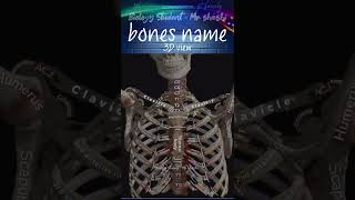 Bones name shortsfeed shorts trending viralvideo ytshorts trending biology science 3d [upl. by Trutko]