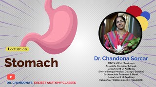 Lecture on Stomach [upl. by Marnie32]