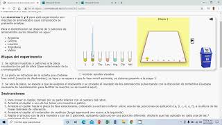cromatografía laboratorio virtual [upl. by Welford]