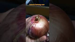 bawang rose merah cookingathome food cooking fypage cookingathome restockingandorganizing [upl. by Maretz]