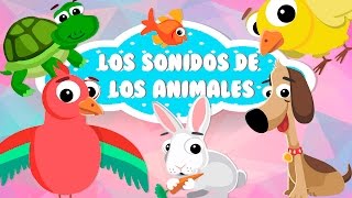 Los sonidos de los animales – Aprender los animales domésticos – Vídeos educativos para niños [upl. by Gnuhn]