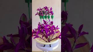 Technique pruning flowers grows flower in cup amazing plants flowers garden diy [upl. by Hallee]