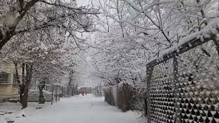 First snow of 2024  kabul Afghanistan 🇦🇫 اولین برف سال  لومری واوره  ماشالله [upl. by O'Donoghue]