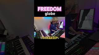 FREEDOM  globe イントロ 【弾いてみた】 小室哲哉 マークパンサー keiko [upl. by Hennebery]