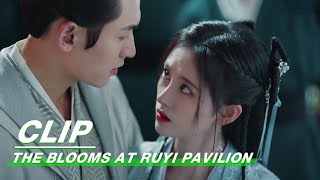 Clip Fu Rong And Xu Jin Pretend To Be A Couple  The Blooms At RUYI Pavilion EP05  如意芳霏  iQIYI [upl. by Lucine996]