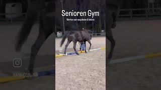 Senioren gymnastiek  paarden  grondwerk  cavaletti  balans oefeningen  proprioceptie [upl. by Alverta]