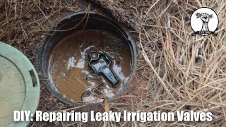 DIY Easy and Cheap Leaky Irrigation Valve Repair [upl. by Farica]