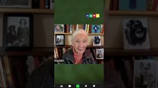 Jane Goodall on The Climate Crisis [upl. by Ainitsirhc]