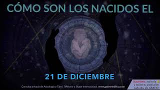 Cómo son los NACIDOS el 21 de Diciembre [upl. by Eanyl]