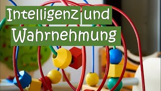 🤓Intelligenz und Wahrnehmung von Kindern ermitteln [upl. by Peisch]