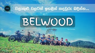 Belwood  Sri lanka 2018 [upl. by Lenore]