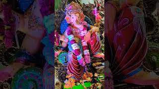 ganeshchaturthi [upl. by Ivens]