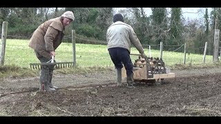 Planting Lots Of Garlic Using a mechanical dibber two railways and a horse [upl. by Krystin101]