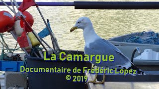 La Camargue à découvrir un film documentaire de frédéric Lopez © 2019 [upl. by Nnayrb]