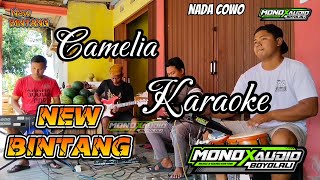 KARAOKE  CAMELIA [upl. by Hance]