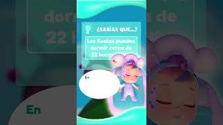 👨‍🏫 APRENDE sobre KOALAS 👩‍🏫 DATOS CURIOSOS para NIÑOS shorts curiosidades koalas datoscuriosos [upl. by Kaiser]