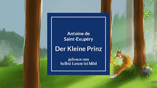 Der Kleine Prinz Hörbuch  Hörspiel 🌠 Antoine de SaintExupéry Original  Selbst Lesen ist blöd [upl. by Baram]