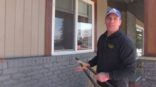 Pruning Karl foerster feather reed grass  Chinook landscaping Calgary [upl. by Yehudi]