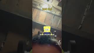 Sponge pop dead lift [upl. by Nimajnab788]