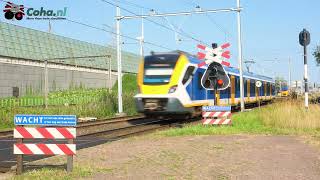 Spoorwegovergang Zevenbergschen Hoek 😍4K😍  Dutch railroad crossing [upl. by Ahsotan291]