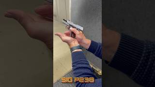 SIG SAUER P238 380 AUTO first shots [upl. by Woolson693]