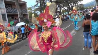 Carnival guadeloupe parade quotmardi gras 2014quot [upl. by Lednahc]