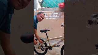 Back to basic BMX bike [upl. by Douville]