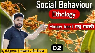 Social Behaviour 02 ll Ethology Bee ll Biology PGT II TGT II SET LIFE SCIENCES II skdigrawal ifas [upl. by Martinsen]