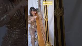 Music by V Meinero for Erard Harp tuned 432hz  Harp Care harp music foryou perte 432hz care [upl. by Hamer]