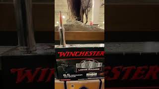 65 Creedmoor Vs 68 Western Which Is The Better Hunting Cartridge [upl. by Itin]