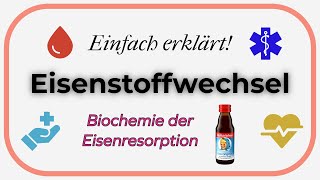 Eisenstoffwechsel Einfach erklärt  Biochemie der Eisenresorption [upl. by Arjan]