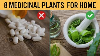 8 Medicinal Plants You Can Easily Grow at Home Uses and Home Remedies [upl. by Airenahs795]