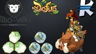 DOFUS 11000000K15Min Asctuce MonoCompt [upl. by Ap]