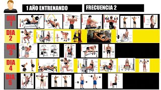 ¿Cómo diseñar un MESOCICLO de Entrenamiento para GANAR masa MUSCULAR [upl. by Gabriela]