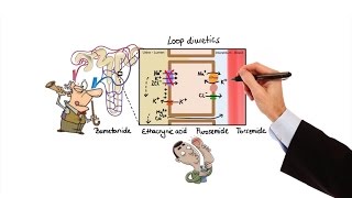 Pharmacology  DIURETICS MADE EASY [upl. by Navi418]