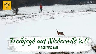 Treibjagd auf Niederwild in Ostfriesland 20  ein herrlicher Jagdtag mit guter Strecke [upl. by Ayila]