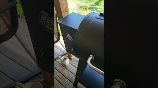 New Pit Boss pellet smoker grill [upl. by Tabbatha]