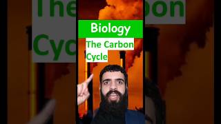 The carbon cycle  GCSE Science in a minute stem water co2 carbon globalwarming savetheworld [upl. by Sset]