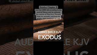 BibleExodus Chapter 8 Moses Plea Answered Yet Pharaoh Deceives shorts exodus bible [upl. by Annai581]